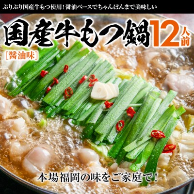 国産牛もつ鍋2人前×6セット(醤油味)
