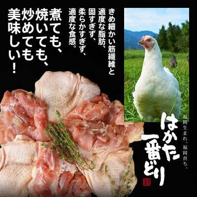 はかた一番どり　もも肉2.5kg