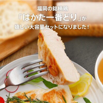 はかた一番どり胸肉500g×10パック(田川市)