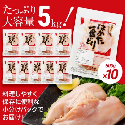 はかた一番どり胸肉500g×10パック(田川市)