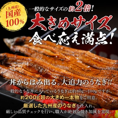 うなぎ蒲焼き 約200g×2尾(田川市)