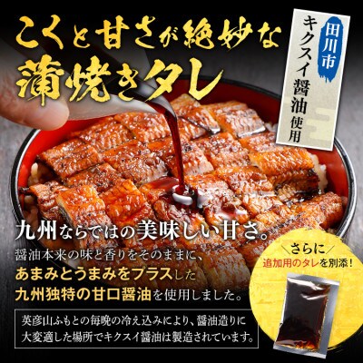 うなぎ蒲焼き 約200g×2尾(田川市)
