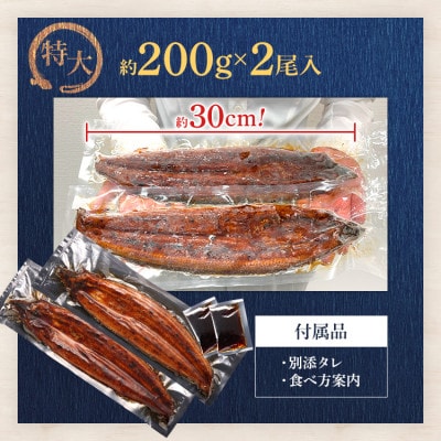 うなぎ蒲焼き 約200g×2尾(田川市)