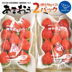 福岡県産いちご「あまおう」2パック(約270g&times;2)(田川市)