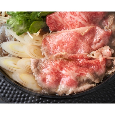 2023年8月発送開始『定期便』博多和牛しゃぶしゃぶすき焼き用500g(田川市)全3回