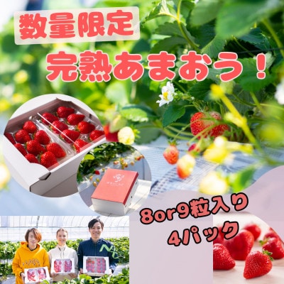 暖家のいちご　完熟あまおう　贈答用4パック(田川市)