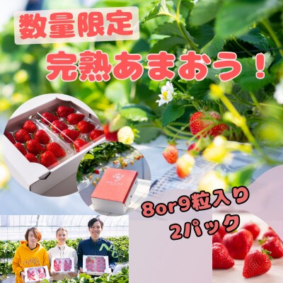 暖家のいちご　完熟あまおう　贈答用2パック(田川市)