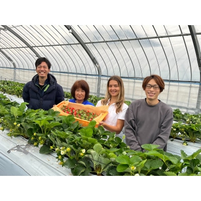 暖家のいちご 完熟あまおう 275g×4パック　3月中旬以降順次発送