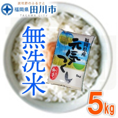 福岡県産元気つくし【無洗米】5kg(田川市)