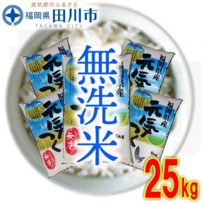 福岡県産元気つくし【無洗米】25kg(田川市)