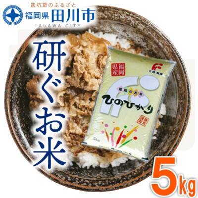 福岡県産ヒノヒカリ【研ぐお米】5kg(田川市)
