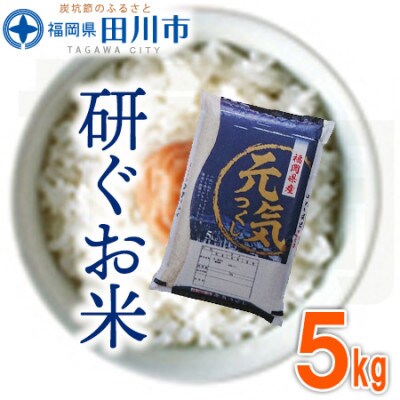 福岡県産元気つくし【研ぐお米】5kg(田川市)