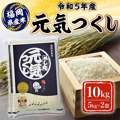 令和5年産　元気つくし10kg