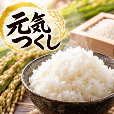 令和8年産　元気つくし10kg