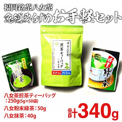 福岡銘茶八女茶 急須要らずのお手軽セット(便利なチャック付)(田川市)