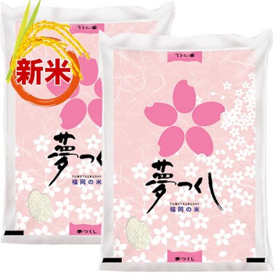 【令和5年産】福岡県産ブランド米「夢つくし」無洗米　計10kg(田川市)