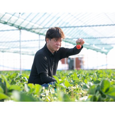 いちごファームキララの冷凍あまおう 2kg(500g×4袋)(田川市)