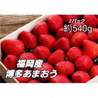 【12月より順次発送】農家直送 朝採り新鮮いちご【博多あまおう】約270g×2パック(田川市)
