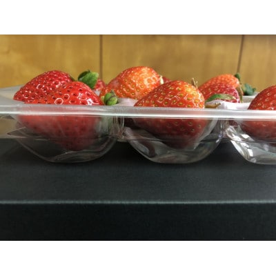 【12月より順次発送】農家直送 朝採り新鮮いちご【博多あまおう】約270g×2パック(田川市)