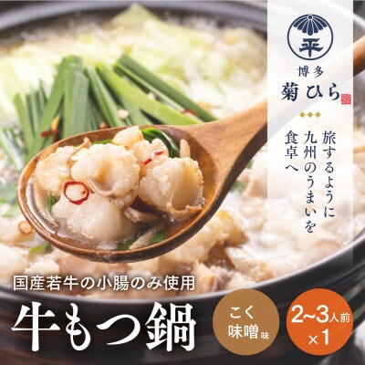 博多菊ひら厳選 国産若牛もつ鍋セット(こく味噌味 2-3人前×1セット)(田川市)