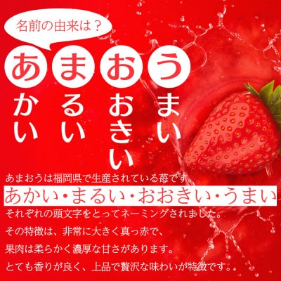 あまおうチーズケーキ(260g×1本)(田川市)