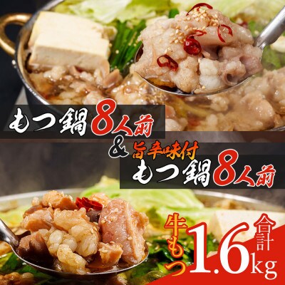 もつ鍋食べ比べセット!16人前(生もつ・味付けもつ)総重量ナント!!3,2kg(田川市)