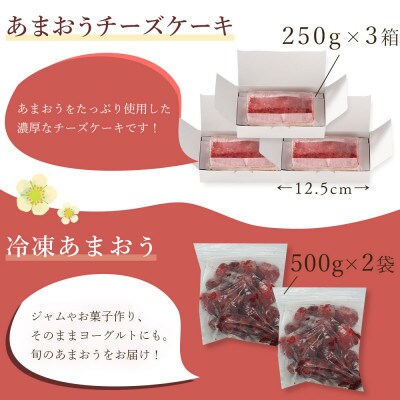 博多あまおうバラエティーセット(チーズケーキ・アイスキャンディ・冷凍あまおう・カレー)(田川市)
