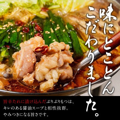 博多名物味付きもつ鍋セット 4人前(もつ400g)!アイスキャンディー6本付き!(田川市)