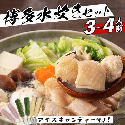 鶏の旨味がたっぷり!博多風水炊きセット 3～4人前。アイスキャンディー6本付き!(田川市)