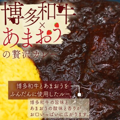 【3ヵ月毎定期便】あまおうがほのかに香る 博多和牛の牛筋ゴロっとカレー(5袋)(田川市)全3回