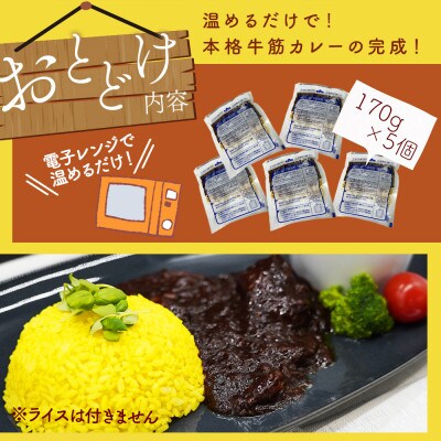 【3ヵ月毎定期便】あまおうがほのかに香る 博多和牛の牛筋ゴロっとカレー(5袋)(田川市)全3回