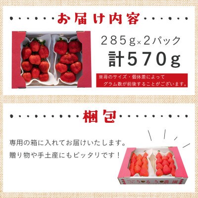 【先行受付】あまおうスタンダード2パック　570g(田川市)