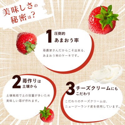 福岡県産あまおう使用!!あまおうチーズケーキ(田川市)