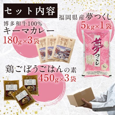 ごはんセット(夢つくし5kg・キーマカレー・鶏ごぼうごはんの素)(田川市)