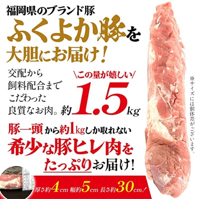 福岡県田川市育ちの【ふくよか豚】ヒレブロック約1.5kg(田川市)