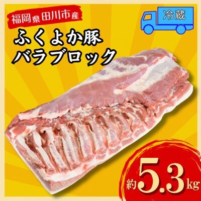 福岡県田川市育ちの【ふくよか豚】豚バラブロック約5.3kg(田川市)