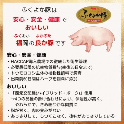 福岡県田川市育ちの【ふくよか豚】豚バラブロック約5.4kg(田川市)