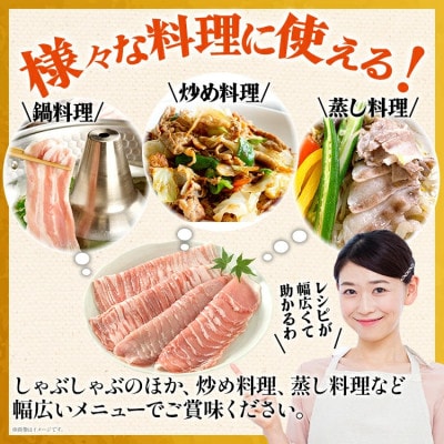 ふくよか豚　しゃぶしゃぶ4種盛 1.2kg(300g×4パック)(田川市)