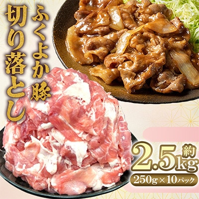 ふくよか豚　切り落とし 2.5kg(250g×10パック)(田川市)
