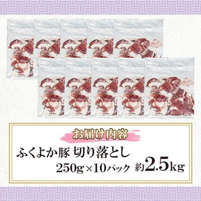 ふくよか豚　切り落とし 2.5kg(250g×10パック)(田川市)