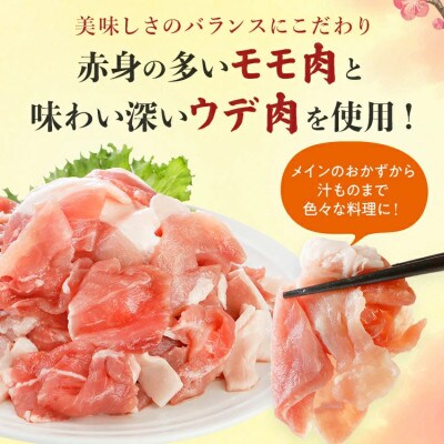 ふくよか豚　切り落とし 2.5kg(250g×10パック)(田川市)