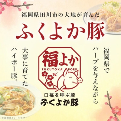 ふくよか豚　切り落とし 3.6kg(300g×12パック)(田川市)