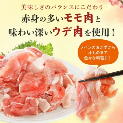 ふくよか豚　切り落とし 3.6kg(300g×12パック)(田川市)