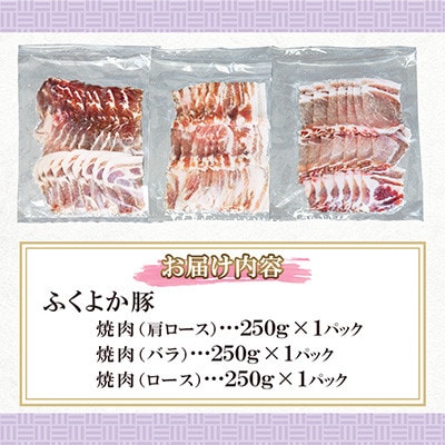 ふくよか豚　焼肉3種セット 750g(250g×3パック)(田川市)
