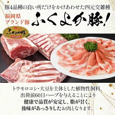 味付けふくよか豚セット　計900g(田川市)