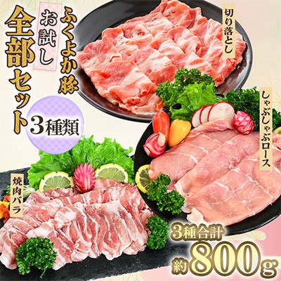 ふくよか豚　お試し全部セット　計800g(田川市)