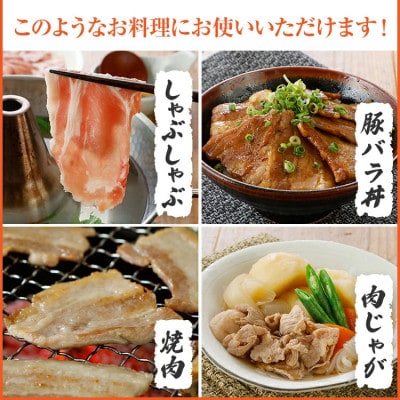 ふくよか豚　お試し全部セット　計800g(田川市)