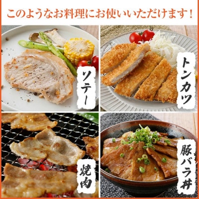 ふくよか豚　ステーキ焼肉セット　計900g(田川市)