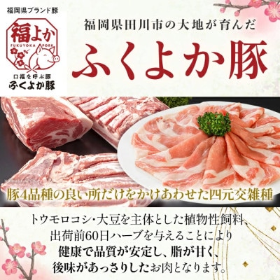 ふくよか豚　ステーキ焼肉セット　計900g(田川市)