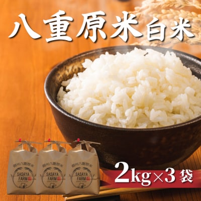 令和7年新米受付!八重原米 白米6kg(2kg×3袋)　※2025年10月以降順次発送|笹屋農園
